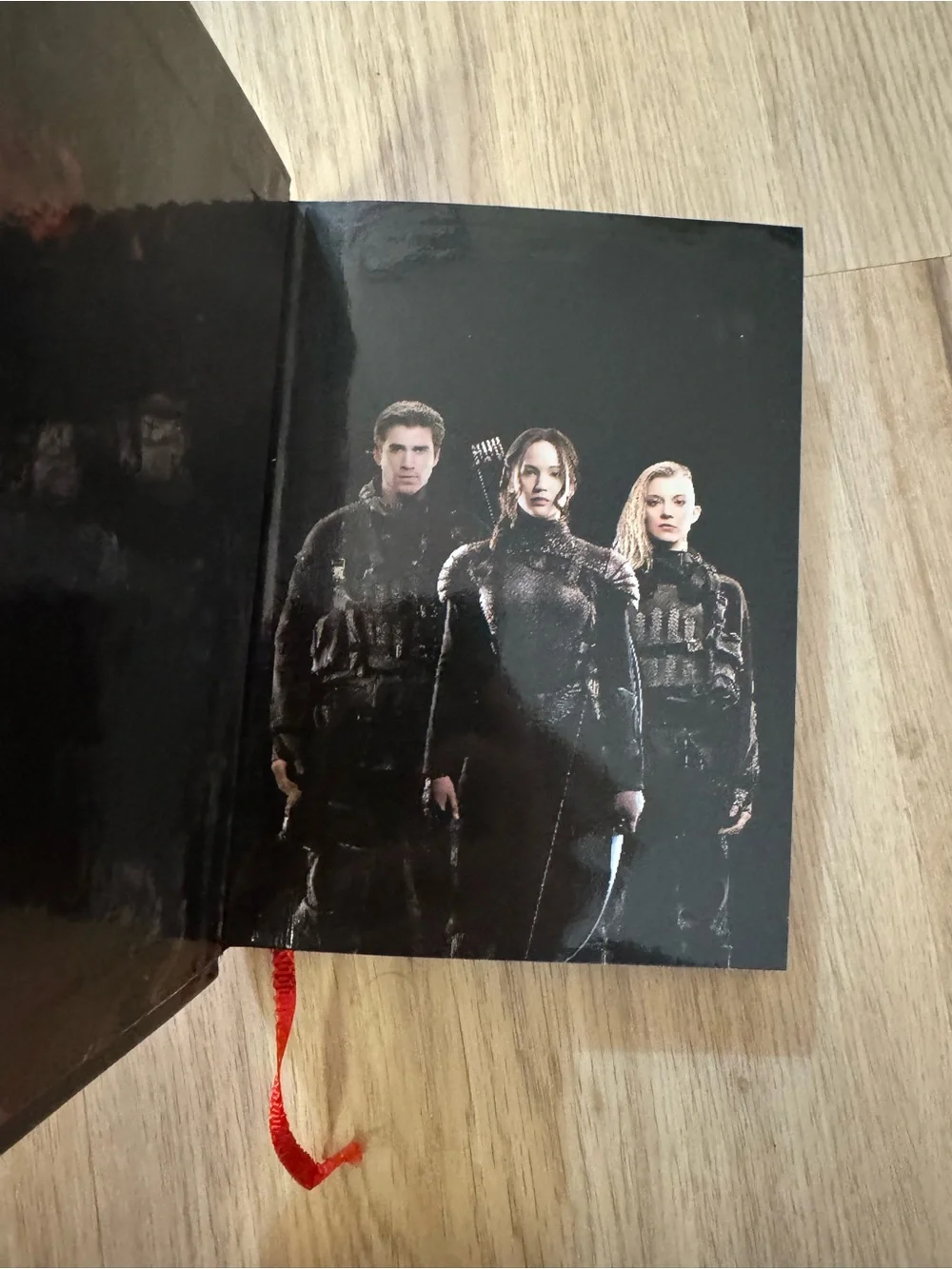 Hunger Games: Mockingjay Part 1 Hardcover Journal + Mockingjay Pin